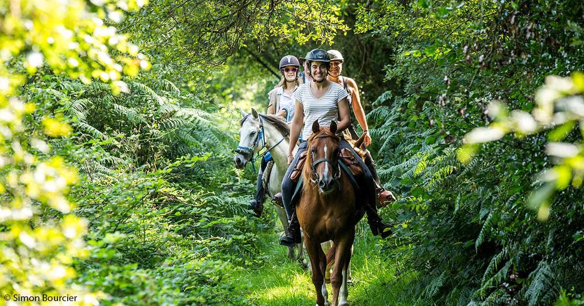 Comment organiser excursion à cheval